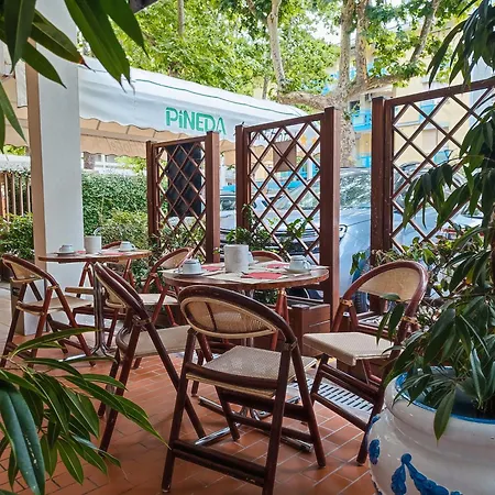 Hotel Pineda 2*